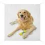 Nomorer Golden Retriever Outdoor Blanket Waterproof, Pet Dog Laying Down with Toy Friendly Domestic Puppy Playful Companion Light Picnic Blanket, 60'' x 57'', Multicolor Nomorer Golden Retriever Outdoor Blanket Waterproof, Pet Dog Laying Down with Toy Friendly Domestic Puppy Playful Companion Light Picnic Blanket, 60'' x 57'', Multicolor
