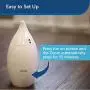 PetSafe Zoom - Automatic, Interactive, Rotating Laser Cat Toy with Two Lasers