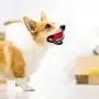 Gigwi Squeaky Tennis Ball Dog Toys, Interactive Dog Ball for Small and Medium Dogs Training, 2.5” Colorful and High Bounce Rubber Toy Gigwi Squeaky Tennis Ball Dog Toys, Interactive Dog Ball for Small and Medium Dogs Training, 2.5” Colorful and High Bounce Rubber Toy