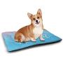 DayDayFun Quote Cute Pet Mat Go Green Text Inside a White Circle with Leaves Eco Awareness Pet Mat Waterproof Fern Green Green and White
