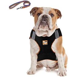 No Pull Dog Harness and Leash Set, Adjustable Soft and Breathable Reflective Padded Harness for Small Medium Large Dog, No-Choke Pet Oxford Outdoor Vest for Puppy, Easy Control Handle for Walking