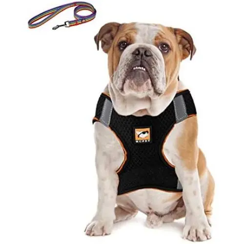 No Pull Dog Harness and Leash Set, Adjustable Soft and Breathable Reflective Padded Harness for Small Medium Large Dog, No-Choke Pet Oxford Outdoor Vest for Puppy, Easy Control Handle for Walking No Pull Dog Harness and Leash Set, Adjustable Soft and Breathable Reflective Padded Harness for Small Medium Large Dog, No-Choke Pet Oxford Outdoor Vest for Puppy, Easy Control Handle for Walking