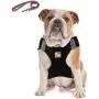 No Pull Dog Harness and Leash Set, Adjustable Soft and Breathable Reflective Padded Harness for Small Medium Large Dog, No-Choke Pet Oxford Outdoor Vest for Puppy, Easy Control Handle for Walking No Pull Dog Harness and Leash Set, Adjustable Soft and Breathable Reflective Padded Harness for Small Medium Large Dog, No-Choke Pet Oxford Outdoor Vest for Puppy, Easy Control Handle for Walking