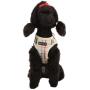 Puppia Authentic Junior Harness B, X-Small, Beige