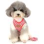 SMALLLEE_Lucky_Store New Soft Mesh Nylon Vest Pet Cat Small Medium Dog Harness Dog Leash Set