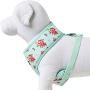 Blueberry Pet 2021 New 3 Patterns Soft & Comfy Spring Scent Inspired Floral Dog Harness Vests