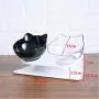 Dorakitten Elevated Cat Bowls Double Cat Food and Water Bowls,15° Tilted Transparent Raised Pet Feeding Bowls for Cats and Small Dogs (White+Black)