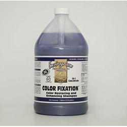 Envirogroom Color Fixation Shampoo, 50: 1, Gallon