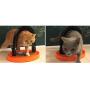 redcolourful Quality Pet Supplies, Multifunction Scratch Board Claw Grinding Massage Hair Brush Toy for Pet Cat Orange 3528CM Ideal Pet Product