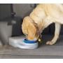 Heininger PortablePET 3059 Waterboy Travel Water Bowl for Pets (Clear), Single