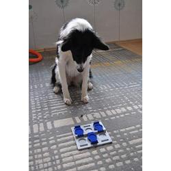 Pawesome puzzle Grabnflip Dog Interactive Toy