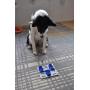 Pawesome puzzle Grabnflip Dog Interactive Toy