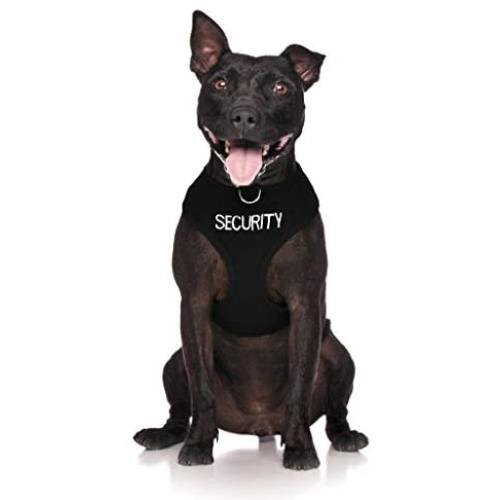 Dexil Limited Security Black Color Coded Non-Pull Front and Back D Ring Padded and Waterproof Vest Dog Harness Prevents Accidents by Warning Others of Your Dog in Advance