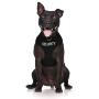 Dexil Limited Security Black Color Coded Non-Pull Front and Back D Ring Padded and Waterproof Vest Dog Harness Prevents Accidents by Warning Others of Your Dog in Advance