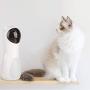 Shilei Automatic cat Laser Toy, Used for Cats pet Laser, Interactive cat Chase Toy with 3 Rotation Modes Operation, Automatically Shut Down and Mute.