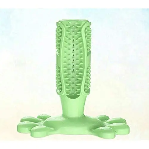 Slimology Dog Toothbrush Stick Safe Non Toxic Dog Pet Chew Toy, Dental Care Dog Chew Natural Rubber Bite Resistant Dog Tooth Brush, Long Lasting Puppy Chew Toys for Dogs Pet Oral Care Slimology Dog Toothbrush Stick Safe Non Toxic Dog Pet Chew Toy, Dental Care Dog Chew Natural Rubber Bite Resistant Dog Tooth Brush, Long Lasting Puppy Chew Toys for Dogs Pet Oral Care