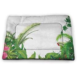 Plant Pet Mat for Kennel Basalt Stones with Bamboo Leaves Sticking Water Droplets Harmony of Nature Washable Puppy Pad Dark Taupe Lime Green