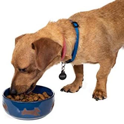 Ethical Products 773824 Midnght Sky Southwest Dish for Dogs, 7-Inch
