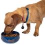 Ethical Products 773824 Midnght Sky Southwest Dish for Dogs, 7-Inch