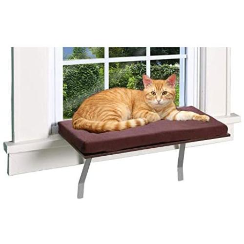 Pet Store Cat Window Perch