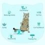 Windmill Cat Toy Interactive Cat Funny Toy with Suction Cup Portable Turntable Rotating Windmill Cat Toy Soft Silicone Scratching Tickle Cats Hair Brush Grooming Shedding Massage for Cats