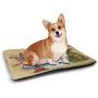 Christmas Pet Sleeping Mat Checkered Diagonal Pattern with Dashed Lines and Dots Small Abstract Pine Trees Pet Mats for Food and Water Multicolor