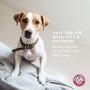 Arm & Hammer Air Care Pet Deodorizer Spray with Baking Soda for Pet Households
