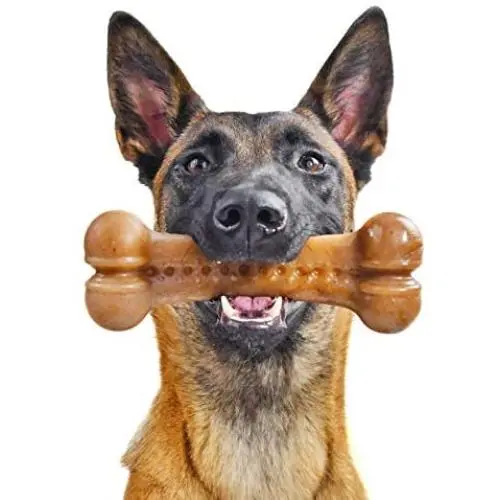 Pet Qwerks Alien BarkBone - for Aggressive Chewers, Made in USA Pet Qwerks Alien BarkBone - for Aggressive Chewers, Made in USA