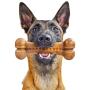 Pet Qwerks Alien BarkBone - for Aggressive Chewers, Made in USA