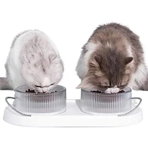 Furrytail Doubowl Cat Kitty Bowls with Handle Cat Food Water Bowl No Spill Non-Skid Furrytail Doubowl Cat Kitty Bowls with Handle Cat Food Water Bowl No Spill Non-Skid