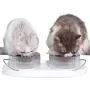 Furrytail Doubowl Cat Kitty Bowls with Handle Cat Food Water Bowl No Spill Non-Skid Furrytail Doubowl Cat Kitty Bowls with Handle Cat Food Water Bowl No Spill Non-Skid