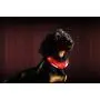 Pet Industries Metal Buckle LED Dog Collar, USB Rechargeable, Available in 7 Colors & 4 Sizes (X-Small [10-13.5'' / 25-34 cm], Crimson Red)