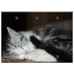 Triple Blank Wall Plate Cover - Cat Kitten Puppy Playful Young Cat Pet 2