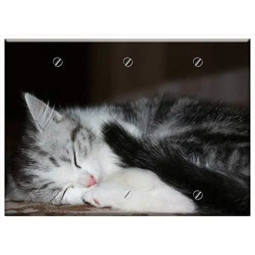 Triple Blank Wall Plate Cover - Cat Kitten Puppy Playful Young Cat Pet 2 Triple Blank Wall Plate Cover - Cat Kitten Puppy Playful Young Cat Pet 2