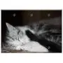 Triple Blank Wall Plate Cover - Cat Kitten Puppy Playful Young Cat Pet 2 Triple Blank Wall Plate Cover - Cat Kitten Puppy Playful Young Cat Pet 2