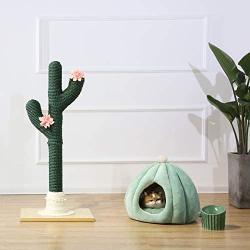 PetnPurr Handmade Cactus Cat Scratching Post, Cactus Pet House and Ceramic Pet Raised Bowl