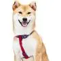 Blueberry Pet 2021 New 3 Patterns Scottish Argyle Dog Harnesses Blueberry Pet 2021 New 3 Patterns Scottish Argyle Dog Harnesses