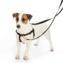 2 Hounds Design Freedom No-Pull Dog Harness Training Package, X-Large, Raspberry