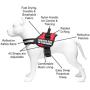 Industrial Puppy Service Dog In Training Vest With Hook and Loop Straps and Handle - Harnesses In Sizes From XXS to XXL - Service Dog Vest Harness Features Reflective Patch and Comfortable Mesh Design Industrial Puppy Service Dog In Training Vest With Hook and Loop Straps and Handle - Harnesses In Sizes From XXS to XXL - Service Dog Vest Harness Features Reflective Patch and Comfortable Mesh Design