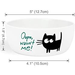 Pawject X Ceramic Cat Bowl for Food or Water, Pet Bowl for Kitten and Cats,Easy to Clean Pet Dish 8 OZ, 1 Pack Green