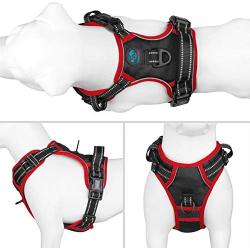 PHOEPET 2019 Upgraded No Pull Dog Harness, Unique Colors Reflective Adjustable Vest, with a Training Handle + 2 Metal Leash Hooks+ 3 Snap Buckles +4 Slide Buckles [Easy to Put on & Take Off]