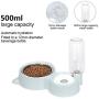 Dog Cat Bowls Food and Water Bowls Set, Automatic Water Dispenser Durable & Detachable Stainless Feeder Double Pet Bowls for Small Cats and Dogs Puppies