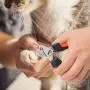 ECO-FUSED Slicker Brush and Nail Clippers for Dogs, Cats and Other Pets - Essential Animal Grooming/Claw Care Tools - Ideal Trimmers to Clip Thick Nails ECO-FUSED Slicker Brush and Nail Clippers for Dogs, Cats and Other Pets - Essential Animal Grooming/Claw Care Tools - Ideal Trimmers to Clip Thick Nails