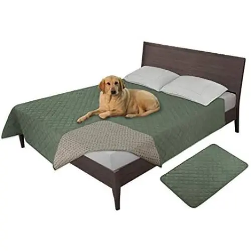 Easy-Going 100% Waterproof Dog Bed Cover Furniture Protector Sofa Cover Non-Slip Washable Reusable Incontinence Bed Underpads for Pets Kids Children Dog Cat(96x82 in,Greyish Green) Easy-Going 100% Waterproof Dog Bed Cover Furniture Protector Sofa Cover Non-Slip Washable Reusable Incontinence Bed Underpads for Pets Kids Children Dog Cat(96x82 in,Greyish Green)