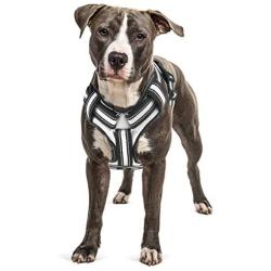 Bolux No Pull Dog Harness, Adjustable Pet Reflective Oxford Soft Vest Harness with Leash Clips for Small Medium Large Dogs, Pet No-Choke Halters with Nylon Handle