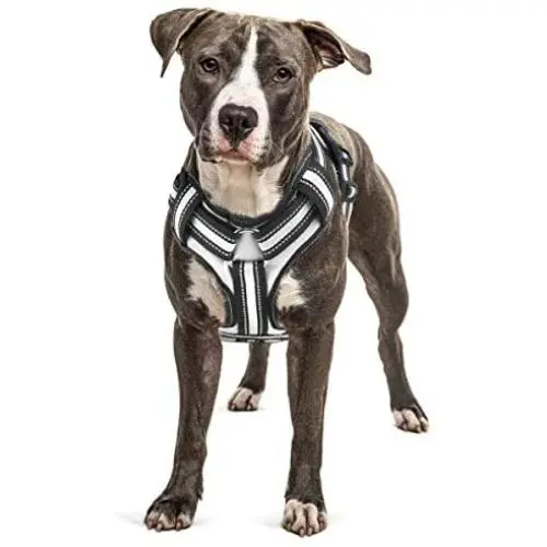 Bolux No Pull Dog Harness, Adjustable Pet Reflective Oxford Soft Vest Harness with Leash Clips for Small Medium Large Dogs, Pet No-Choke Halters with Nylon Handle Bolux No Pull Dog Harness, Adjustable Pet Reflective Oxford Soft Vest Harness with Leash Clips for Small Medium Large Dogs, Pet No-Choke Halters with Nylon Handle