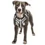 Bolux No Pull Dog Harness, Adjustable Pet Reflective Oxford Soft Vest Harness with Leash Clips for Small Medium Large Dogs, Pet No-Choke Halters with Nylon Handle Bolux No Pull Dog Harness, Adjustable Pet Reflective Oxford Soft Vest Harness with Leash Clips for Small Medium Large Dogs, Pet No-Choke Halters with Nylon Handle