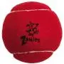 Zanies Puppy Pride Tennis Balls for Dogs, 6-Pack – 2.5-Inch Diameter Tennis Balls Match the Rainbow Pride Flag Colors