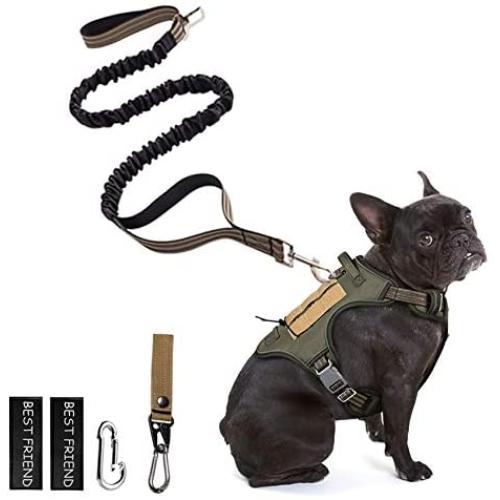 PETAGE Dog Harness and Dog Leash 6FT Heavy Duty Dog Leash with 2 Padded Handles
