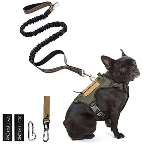 PETAGE Dog Harness and Dog Leash 6FT Heavy Duty Dog Leash with 2 Padded Handles PETAGE Dog Harness and Dog Leash 6FT Heavy Duty Dog Leash with 2 Padded Handles
